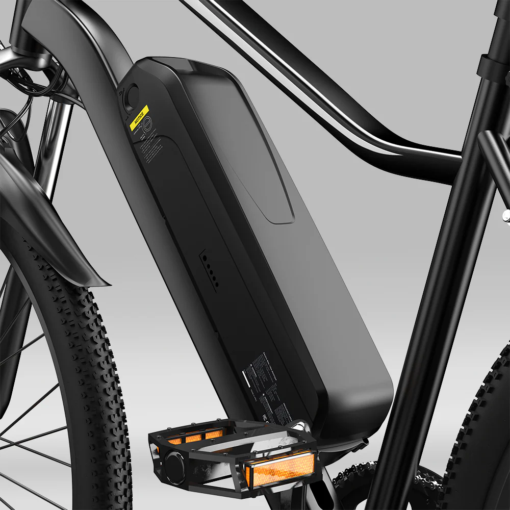 M10 / EB3 E-Mountainbike - Image 13