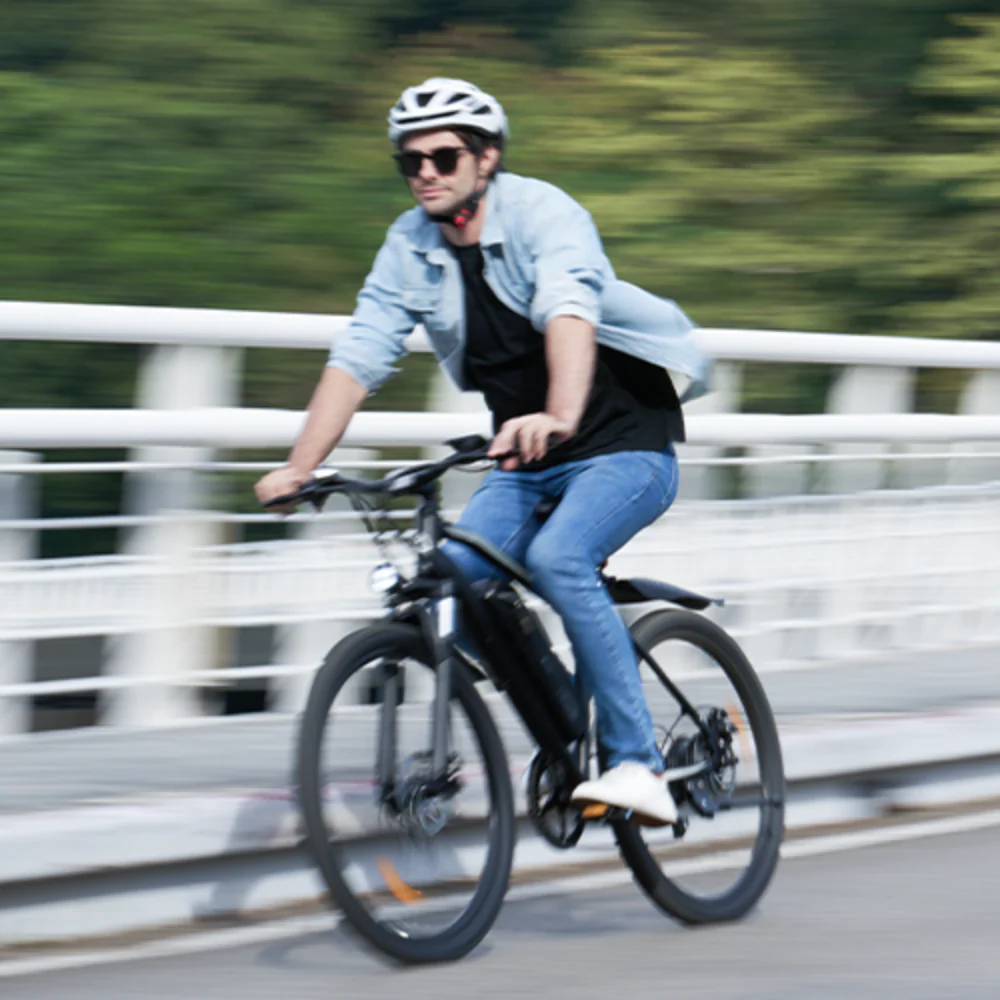 M10 / EB3 E-Mountainbike - Image 20