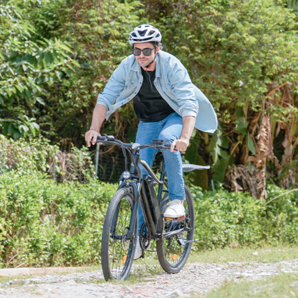 M10 / EB3 E-Mountainbike - Image 21