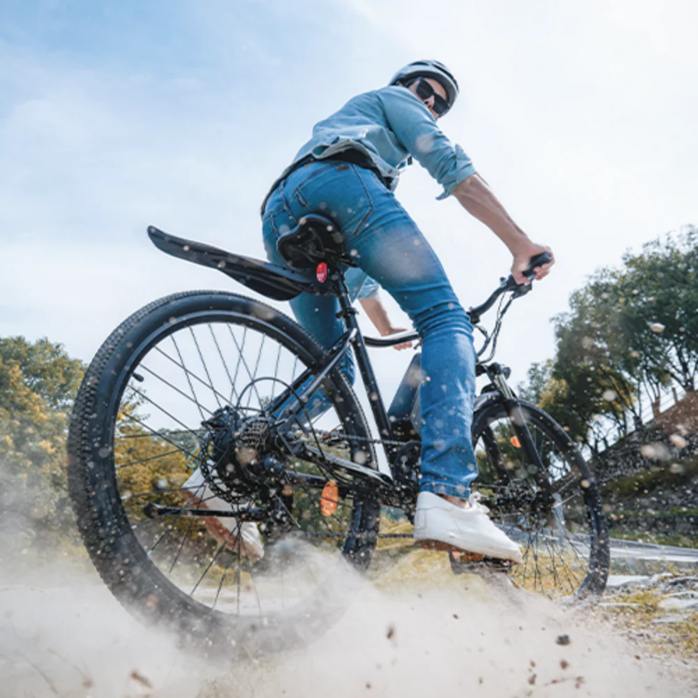 M10 / EB3 E-Mountainbike - Image 22