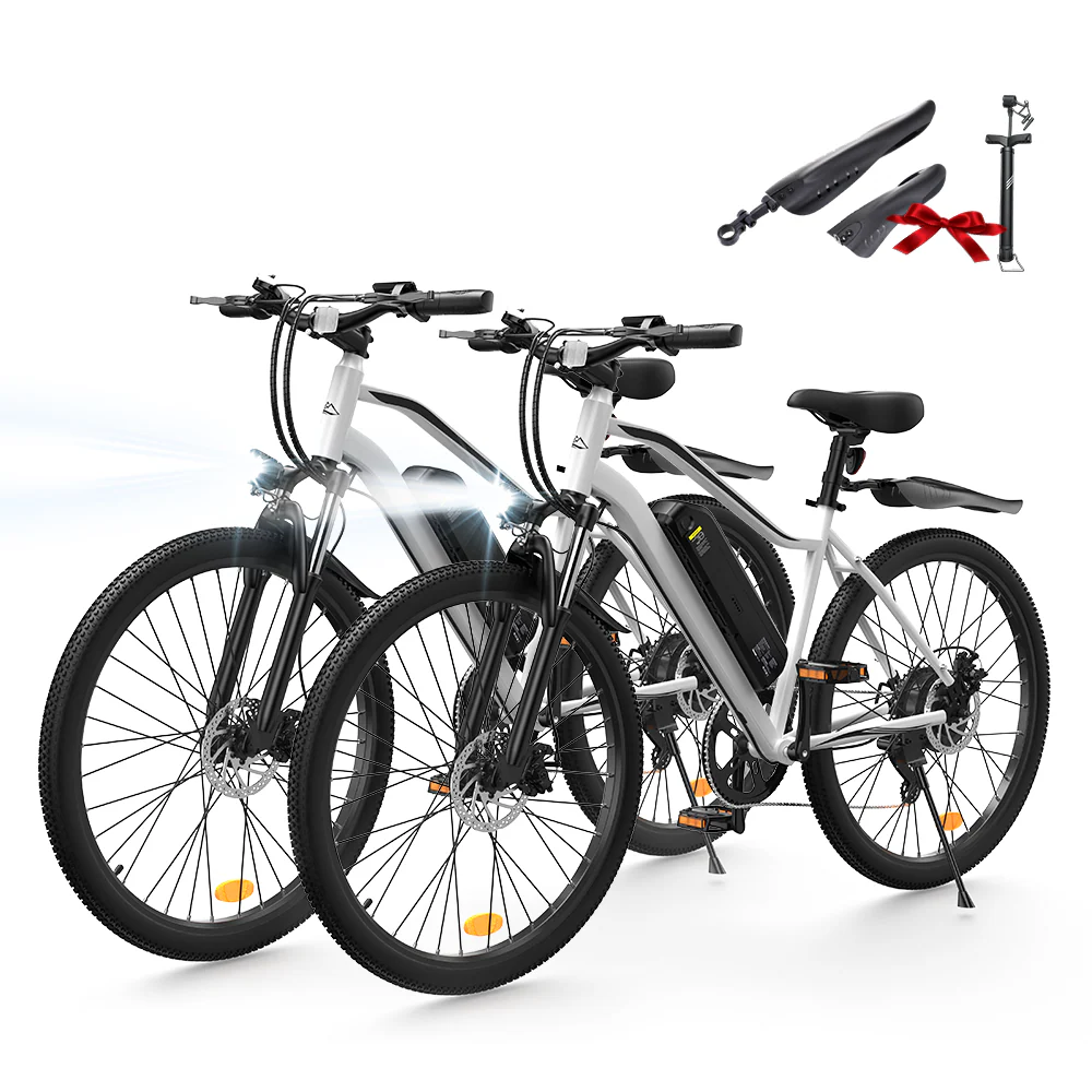 M10 / EB3 E-Mountainbike - Image 25